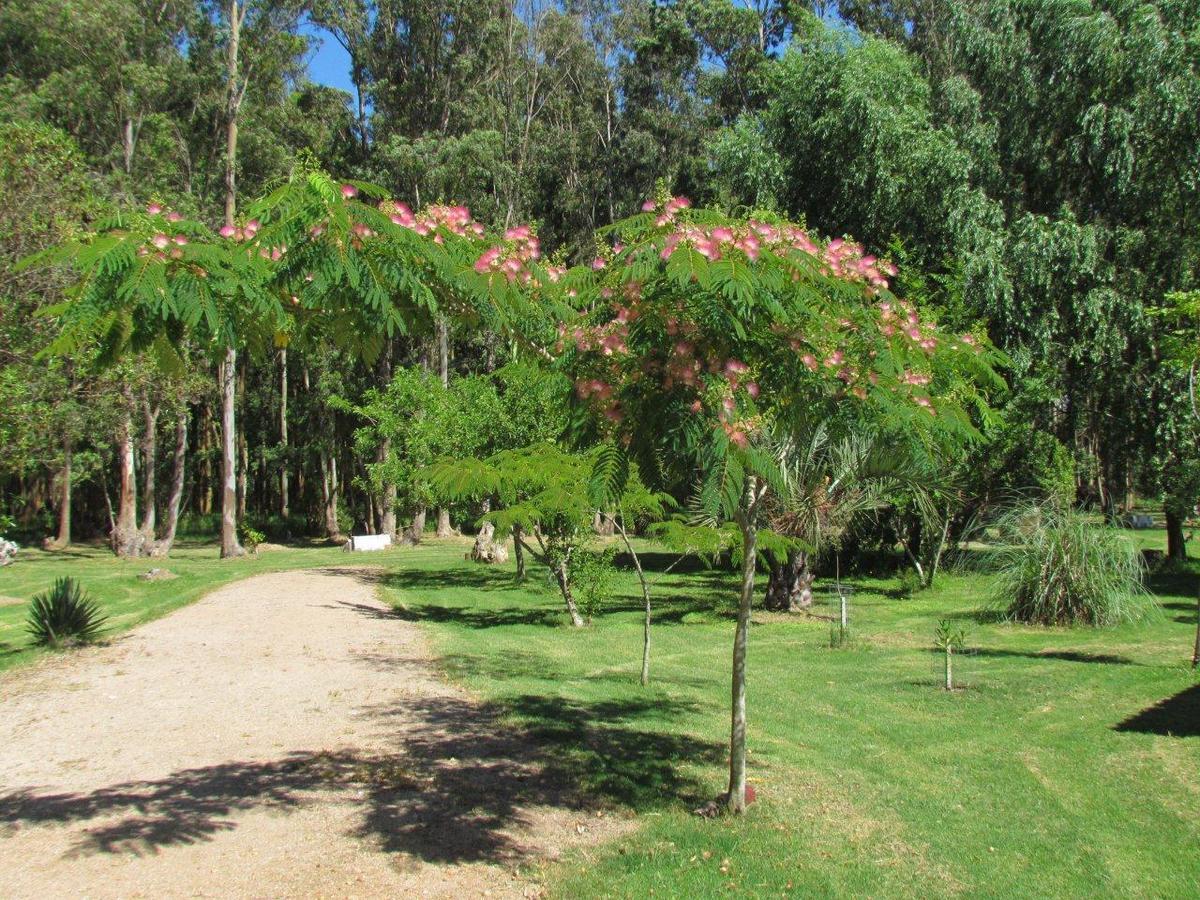 La Posta De La Laguna La Paloma Eksteriør billede